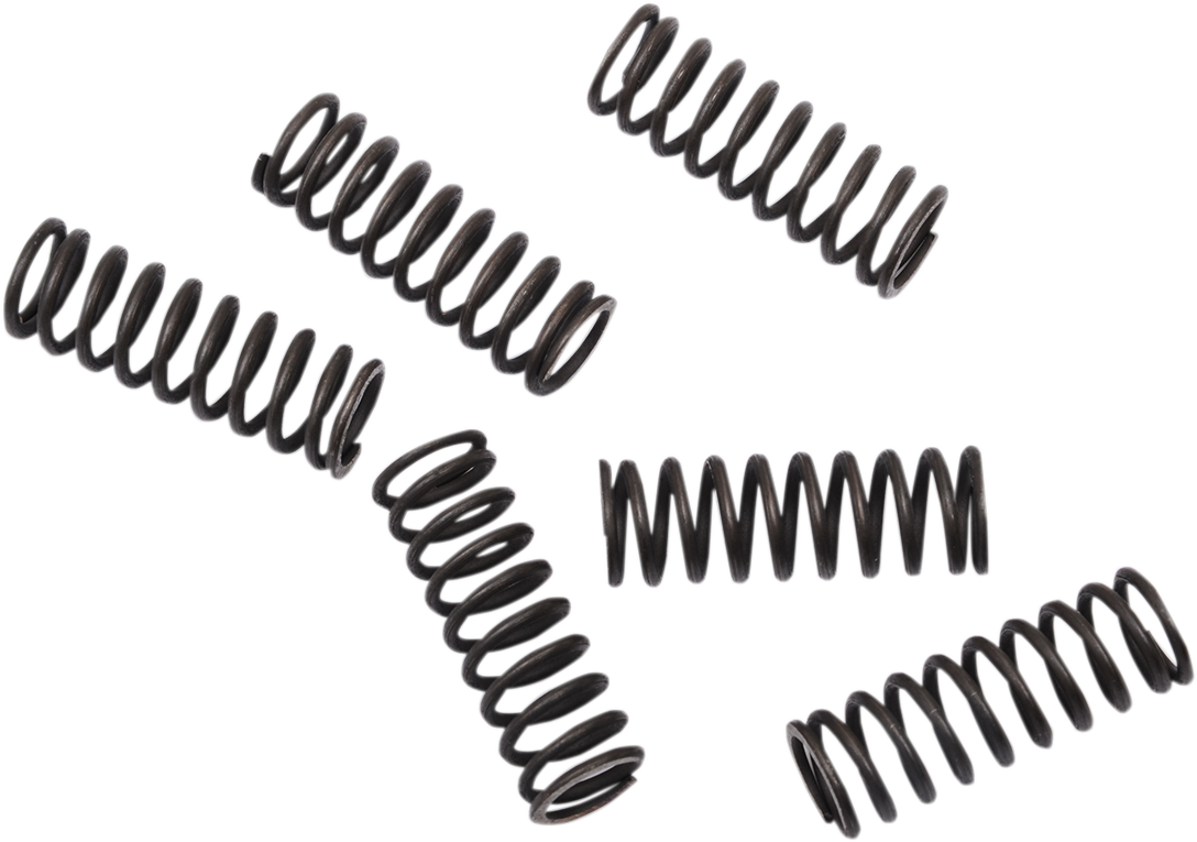 Moose Offroad Clutch Springs for Honda CRF 450 – Part FHDS155-6, Enhanced Performance and Durability
