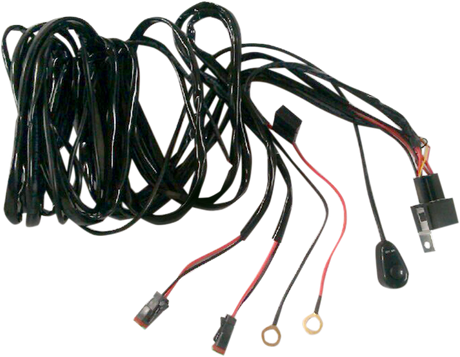 BRITE-LITES Wiring Harness with Switch BL-WHHD2