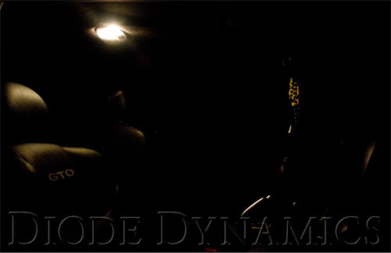 Diode Dynamics 39mm HP6 LED Bulb LED Warm - White (Single)