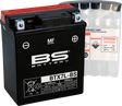 BS BATTERY Battery - BTX7L-BS (YTX) 300620