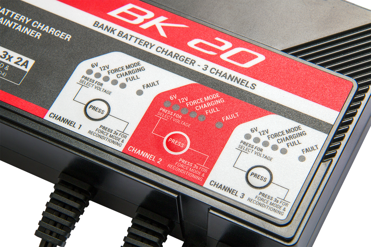 BS BATTERY Battery Charger/Maintainer - BK20 700554