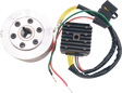 RICK'S MOTORSPORT ELECTRIC Charging Kit - Honda 99-111