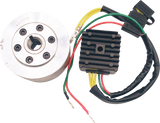 RICK'S MOTORSPORT ELECTRIC Charging Kit - Honda 99-111