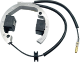RICK'S MOTORSPORT ELECTRIC Stator - Husqvarna/KTM 21-0093