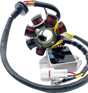 RICK'S MOTORSPORT ELECTRIC Lithium-Ion Compatible Charging Kit - Husqvarna/KTM 14-99-900H
