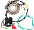 RICK'S MOTORSPORT ELECTRIC Charging Kit - Suzuki 99-300