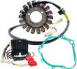 RICK'S MOTORSPORT ELECTRIC Charging Kit - Lithium-Ion - Suzuki 14-99-300