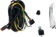 HERETIC Wire Harness - Dual - 280 W 20022