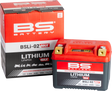 BS BATTERY Lithium Battery - BSLi-02 Max 360115