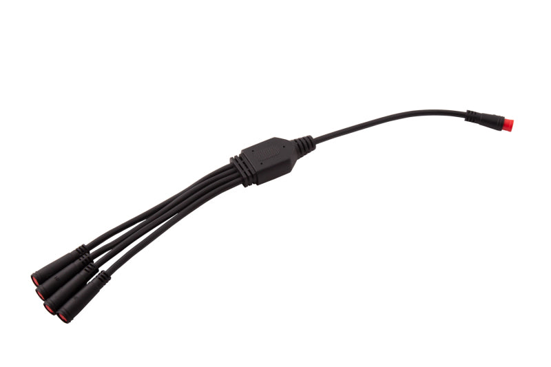 Diode Dynamics RGBW M8 5-Pin Splitter Wire - 1
