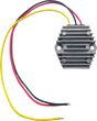 RICK'S MOTORSPORT ELECTRIC DC Conversion Unit EZDC1