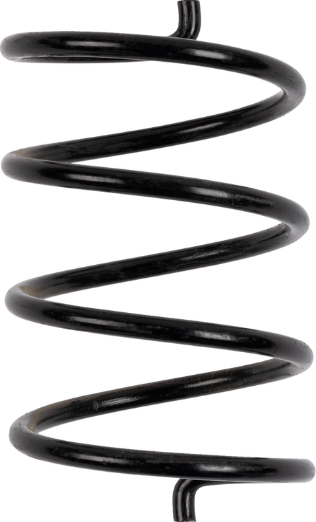BIKEMAN PERFORMANCE Secondary Clutch Spring 05-BLACKTS