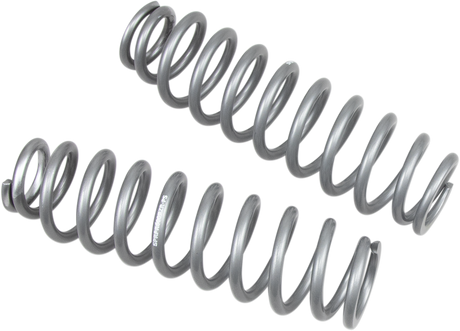 HIGH LIFTER Shock Springs - Rear - Silver 79-13838