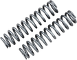 HIGH LIFTER Shock Springs - Front - Silver 79-13865