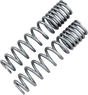 HIGH LIFTER Shock Springs - Rear - Silver 79-13869