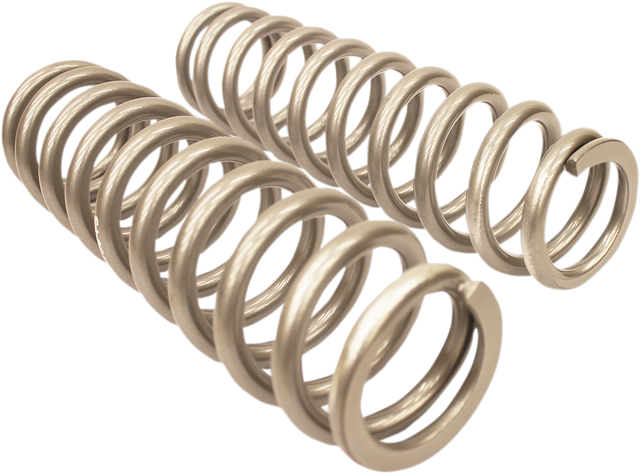 HIGH LIFTER Shock Springs - Rear - Silver 79-13785