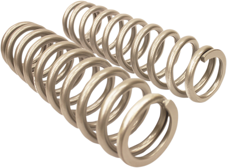 HIGH LIFTER Shock Springs - Rear - Silver 79-13843