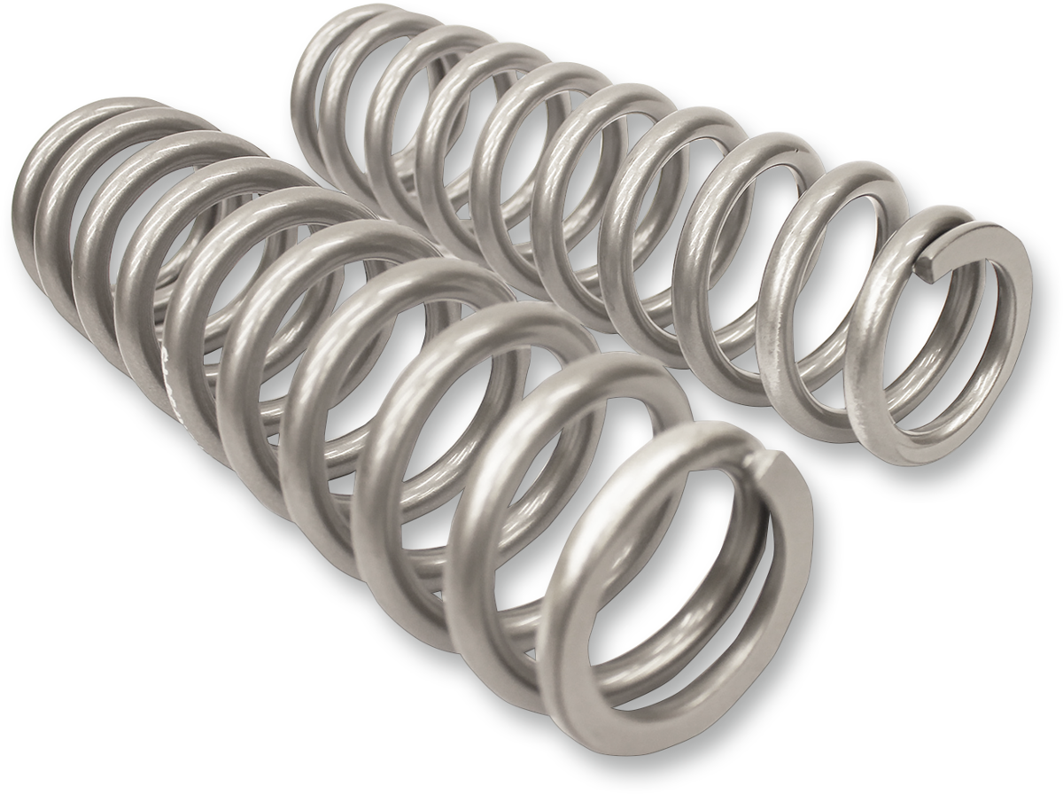 HIGH LIFTER Shock Springs - Rear - Silver 79-13832