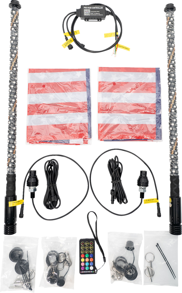BRITE-LITES Whip Light - 2' - Quick Connect - Pair BL-WPSKIT2