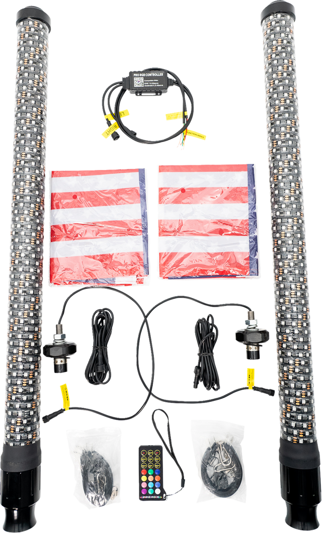 BRITE-LITES Whip Light - Super Chunk - 3' - Pair BL-WPCKIT3