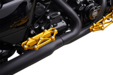 ARLEN NESS Diamond Floorboards - Passenger - Gold 410-061