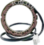 RICK'S MOTORSPORT ELECTRIC Stator - Yamaha 21-432