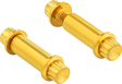 ARLEN NESS Bolt Kit - Footpeg - 12-Point - Titanium - Gold 300-802