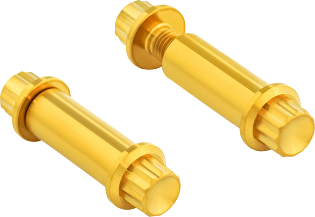 ARLEN NESS Bolt Kit - Footpeg - 12-Point - Titanium - Gold 300-802