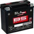 BS BATTERY Battery - BGZ20HL (GYZ) 300939