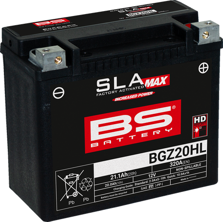 BS BATTERY Battery - BGZ20HL (GYZ) 300939