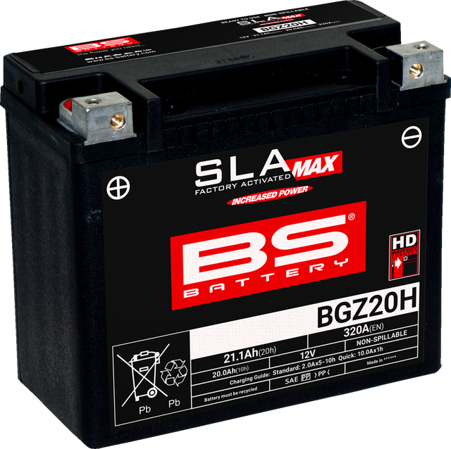 BS BATTERY Battery - BGZ20H (GYZ) 300938