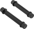 ARLEN NESS Bolt Kit - Footpeg - 12-Point - Titanium - Black 300-804
