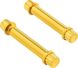 ARLEN NESS Bolt Kit - Footpeg - 12-Point - Titanium - Gold 300-805