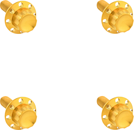 ARLEN NESS Bolt Kit - Windshield - Titanium - 12-Point - Gold 300-841