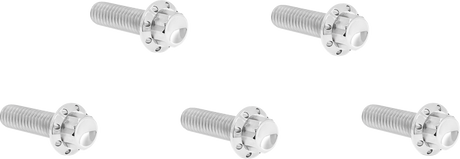 ARLEN NESS Bolt Kit - Derby Cover - 12-Point - Titanium - Polished 300-923