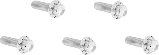 ARLEN NESS Bolt Kit - Derby Cover - 12-Point - Titanium - Polished 300-923