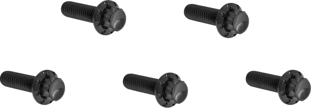 ARLEN NESS Bolt Kit - Derby Cover - 12-Point - Titanium - Black 300-924
