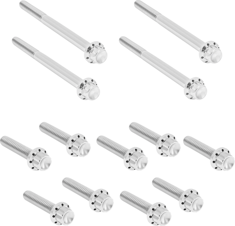 ARLEN NESS Bolt Kit - Primary Cover - Titanium - 12-Point - Softail - Polished 300-929