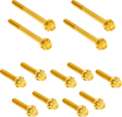 ARLEN NESS Bolt Kit - Primary Cover - Titanium - 12-Point - Softail - Gold 300-931