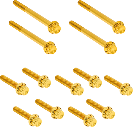 ARLEN NESS Bolt Kit - Primary Cover - Titanium - 12-Point - Softail - Gold 300-931