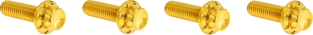 ARLEN NESS Bolt Kit - Transmission Top Cover - 12-Point - Titanium - Gold 300-979