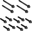 ARLEN NESS Bolt Kit - Primary Cover - Titanium - 12-Point - FLT - Black 300-927