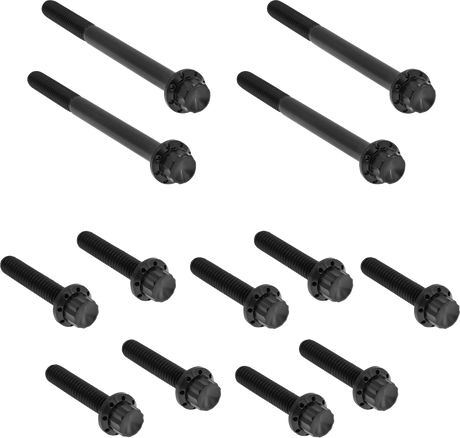 ARLEN NESS Bolt Kit - Primary Cover - Titanium - 12-Point - Softail - Black 300-930