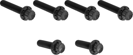 ARLEN NESS Bolt Kit - Cable Clutch - Titanium - 12-Point - M8/Twin Cam - Black 300-704