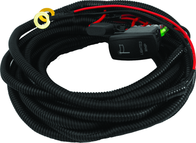 DragonFire Racing Dual Whip Harness Kit with LED Lighted Switches for UTVs - Part 522041
