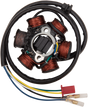 RICK'S MOTORSPORT ELECTRIC Stator - Can-Am 21-061