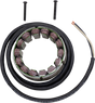 RICK'S MOTORSPORT ELECTRIC Stator - Ducati 21-031