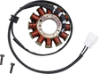 RICK'S MOTORSPORT ELECTRIC Stator - GasGas 21-0095