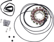RICK'S MOTORSPORT ELECTRIC Stator - BMW 21-033
