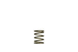 Turbosmart Gen-V WG45/50 3psi Orange Inner Spring - Automotive Performance Part